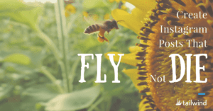 A bee hovers near a sunflower with the text: "Learn how to get more Instagram likes with posts that fly not die." The background is blurred greenery. A small Tailwind logo appears in the bottom right corner.