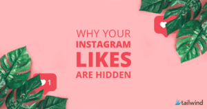 A pink background with green leaves in the corners, Instagram-like icons, and bold text in the center that reads: "Why hidden likes on Instagram matter." Tailwind logo is in the bottom right corner.