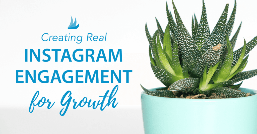 A green succulent in a light blue pot sits beside text that reads, "Creating Real Instagram Engagement Growth," on a white background.