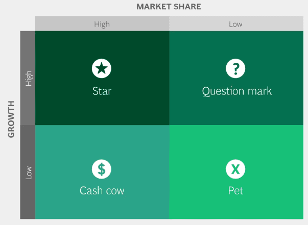 Screenshot of the BCG matrix