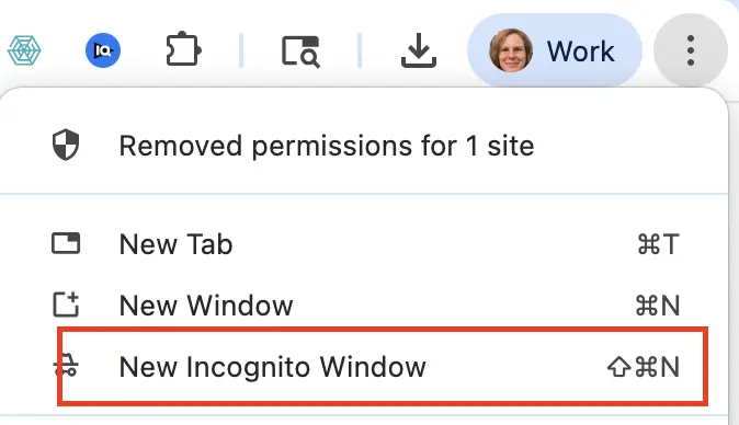Browser menu displays options: New Tab, New Window, and New Incognito Window highlighted with a red box.